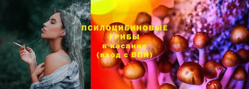 Галлюциногенные грибы Magic Shrooms  Зарайск 